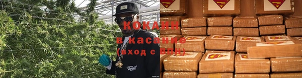 дмт Арсеньев