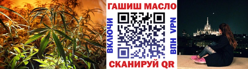 MEGA сайт  Пыталово  ТГК концентрат 