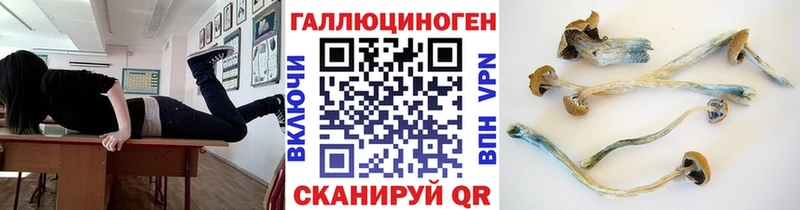 Галлюциногенные грибы MAGIC MUSHROOMS  купить  сайты  Пыталово 